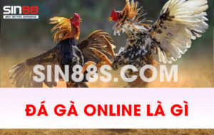 Đá gà online là gì?